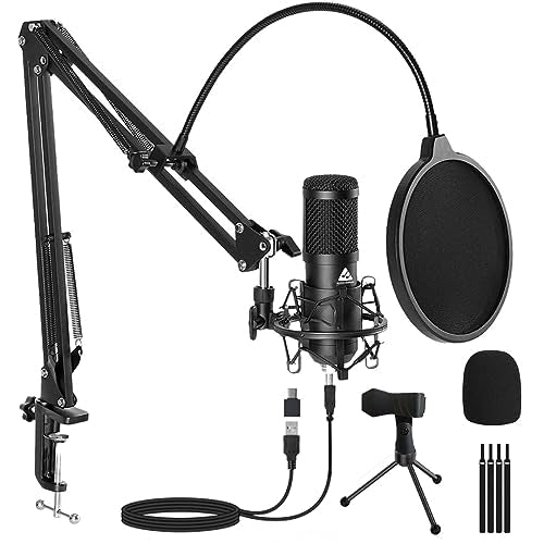 Audio & Microphone